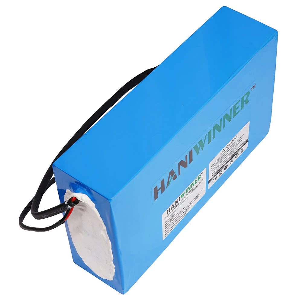 HANIWINNER HA201 Electric Bike Rechargeable Lithium Battery 48V 20AH 960W with Charger - Blue 3 HANIWINNER HA201 Electric Bike Rechargeable Lithium Battery 48V 20AH 960W with Charger - Blue - Image 3